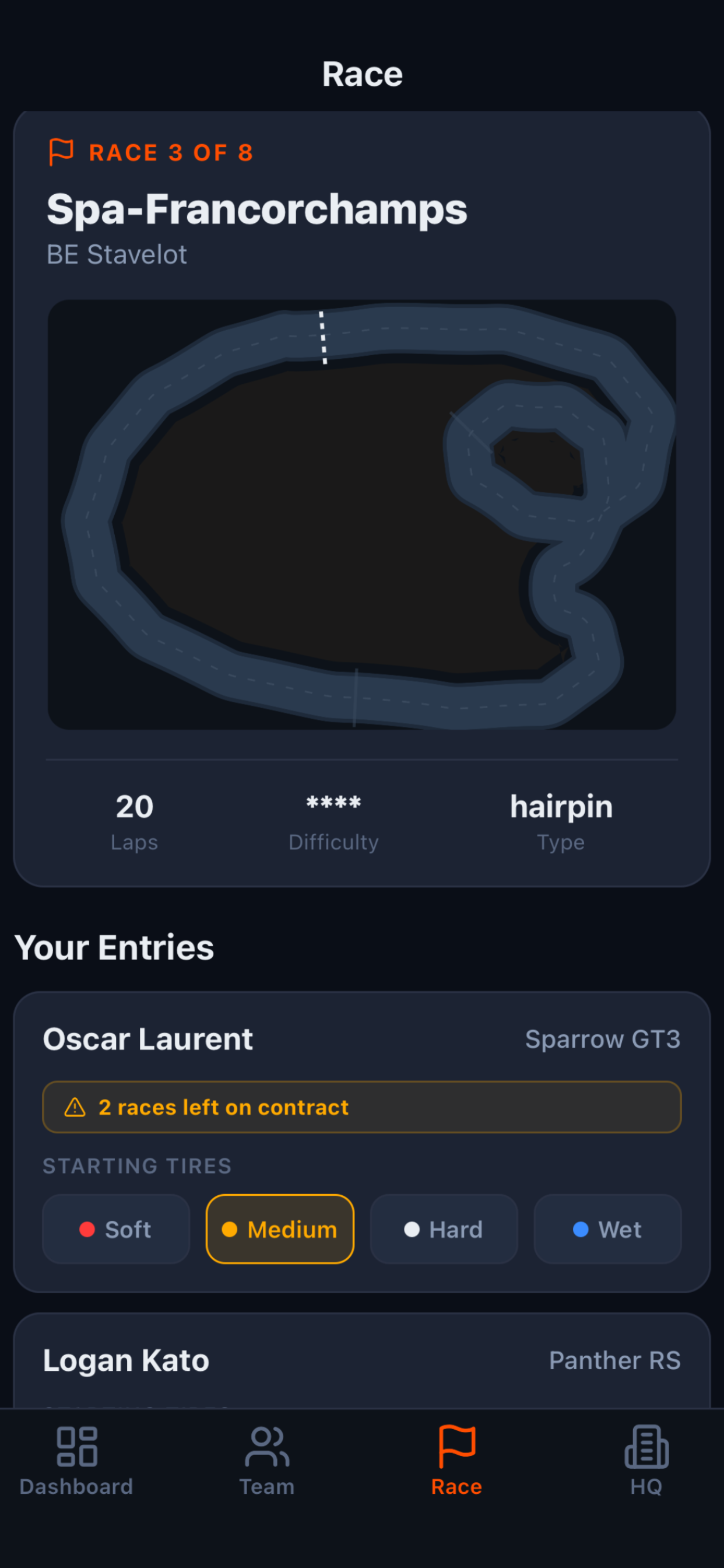 Race strategy screen